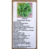 6 Degrees East Heirloom Veg Seeds - Lettuce - Salad Bowl Green